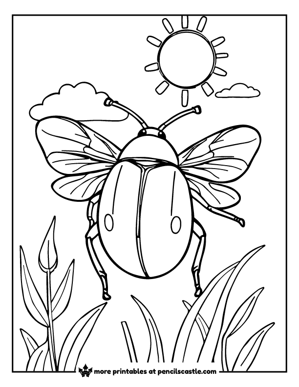 beetle flying under a summer sun coloring sheet