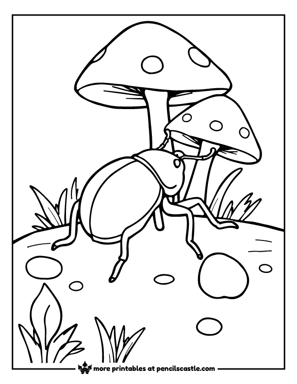 beetle hiding under mushrooms coloring sheet