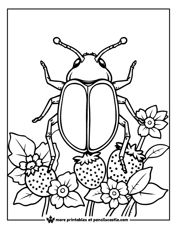 beetle crawling near strawberries coloring page