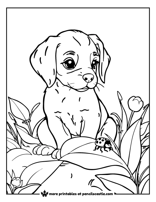 Brittany puppy with leaves and flowers, looking at a ladybug on a leaf coloring sheet