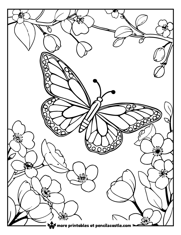 butterfly among cherry blossom petals coloring page