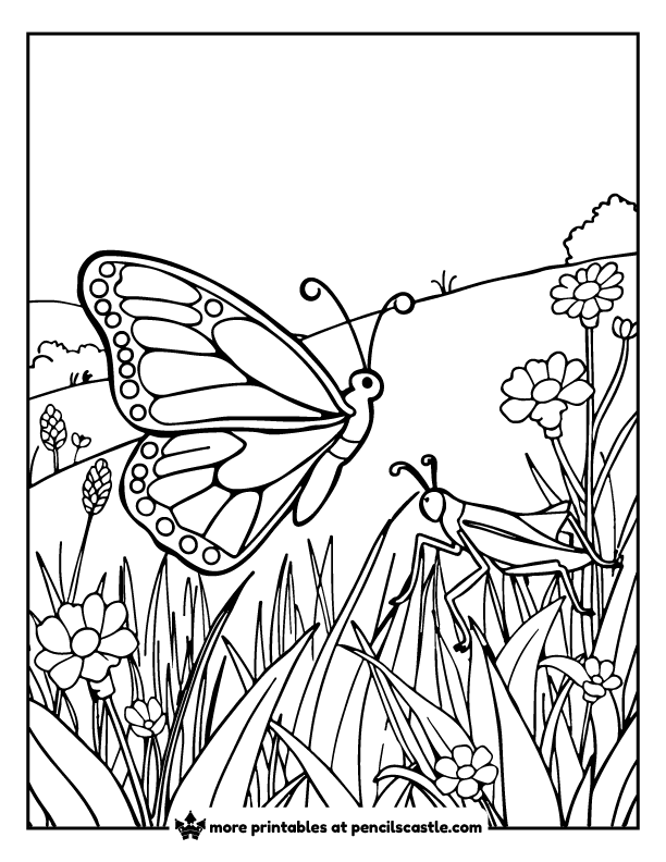 butterfly flying above a grasshopper sitting on grass coloring page