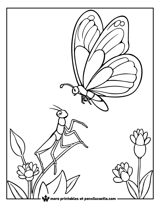 butterfly flying above a praying mantis perched on a plant coloring page