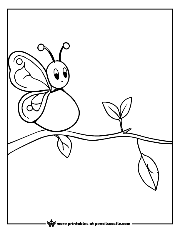 tiny butterfly peeking out of its cocoon on a branch coloring page
