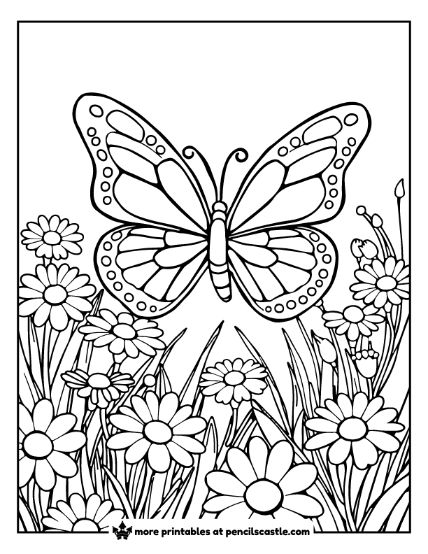 butterfly flying above a field of daisy flowers coloring page