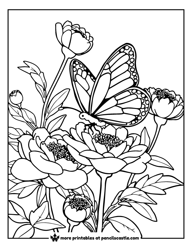 butterfly resting on a peony garden coloring page
