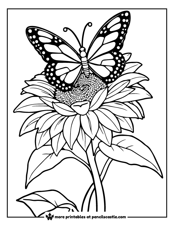 butterfly resting on a blooming sunflower coloring page