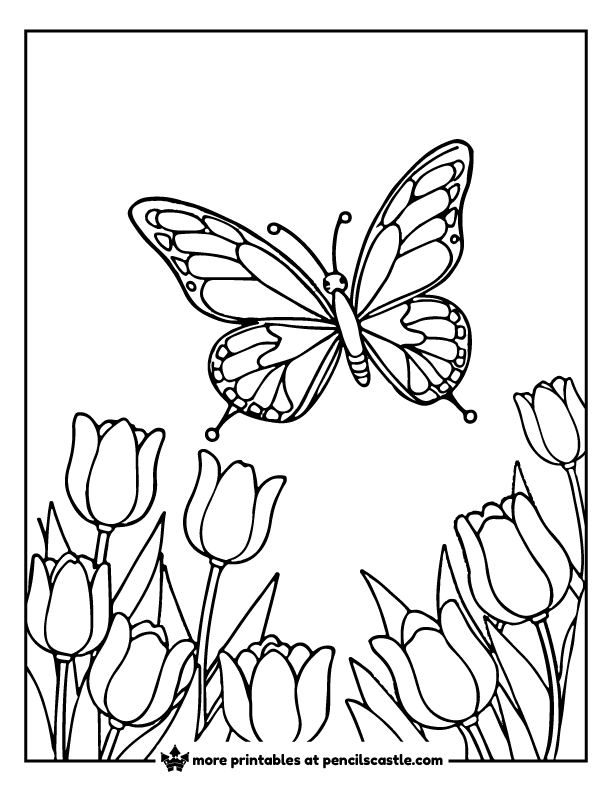 butterfly flying above blooming tulips coloring page