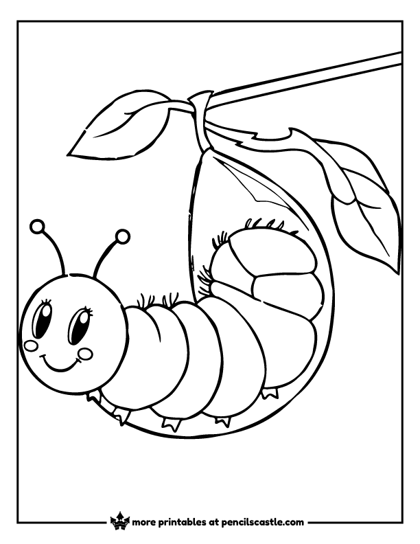 caterpillar wrapping itself up in a cocoon coloring page