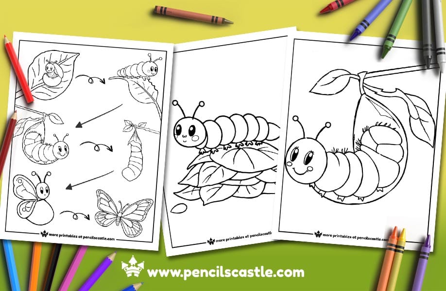 three caterpillar coloring pages with pencils and crayons on a green background