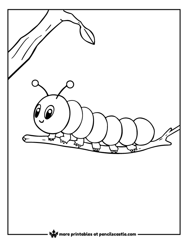 Caterpillar crawling across a thin twig coloring page