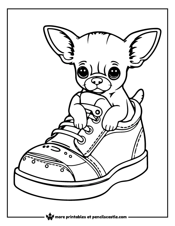 Chihuahua puppy sitting in a shoe coloring page