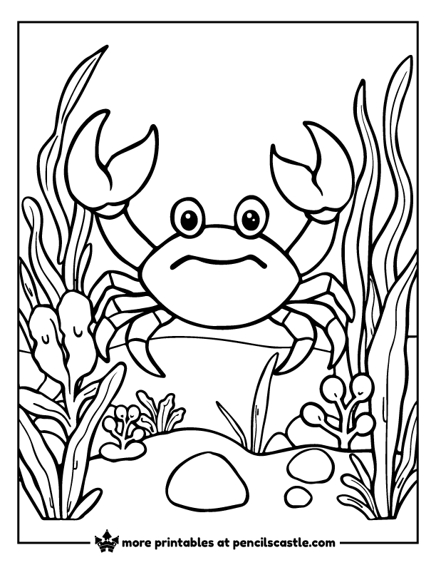 Crab surrounded by sea plants and seaweed coloring sheet