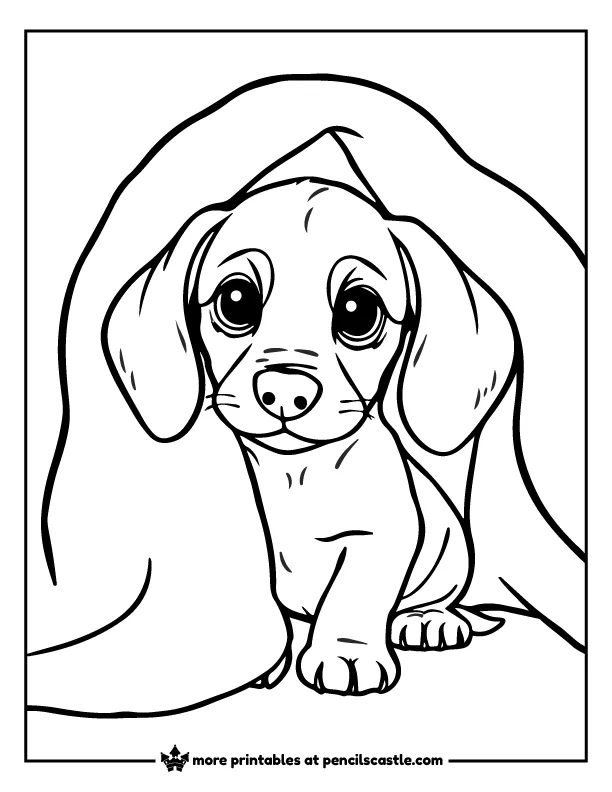 Dachshund puppy peeking out from under a blanket coloring sheet