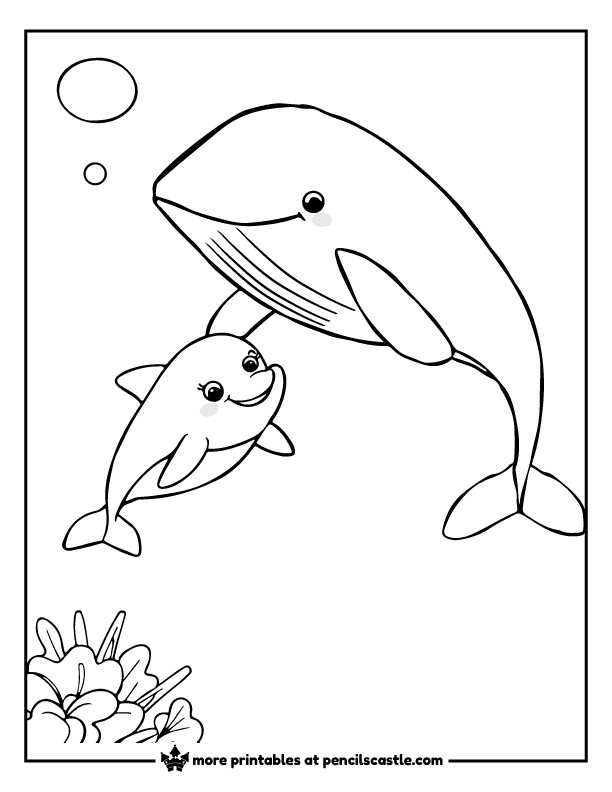 dolphin swimming next to a giant whale coloring page