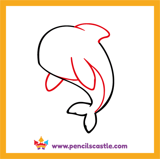 Draw the dolphin's flippers and belly line