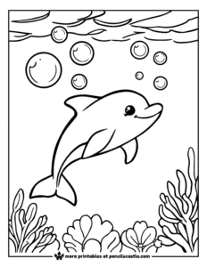 dolphin swimming in the ocean with bubbles and seaweed coloring sheet