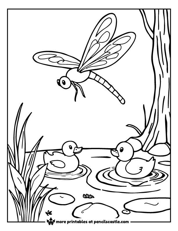 Dragonfly watching ducks swim in a pond coloring page