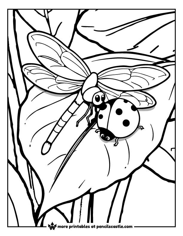 dragonfly and ladybug resting together on a garden leaf coloring page