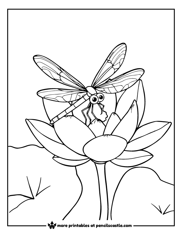Dragonfly sitting on a water lily flower coloring page
