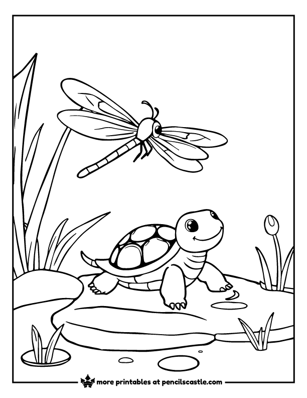 Dragonfly flying near a smiling turtle on a pond edge coloring sheet