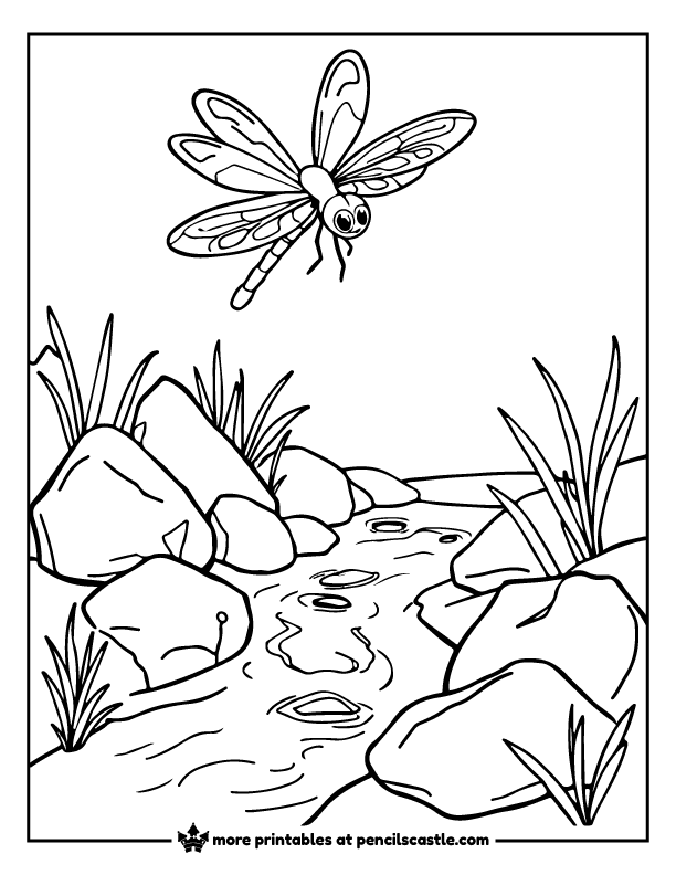 dragonfly flying above rocks and a small stream coloring page