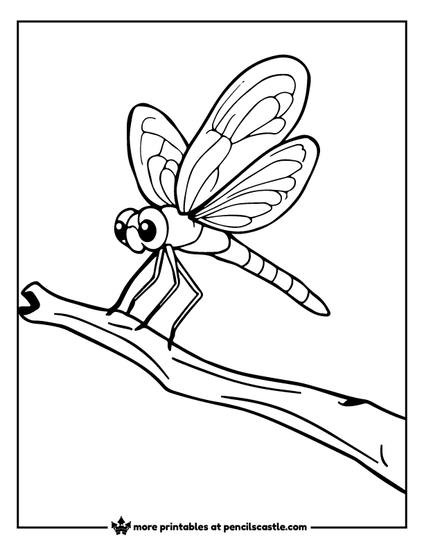Dragonfly perched on a twig coloring page