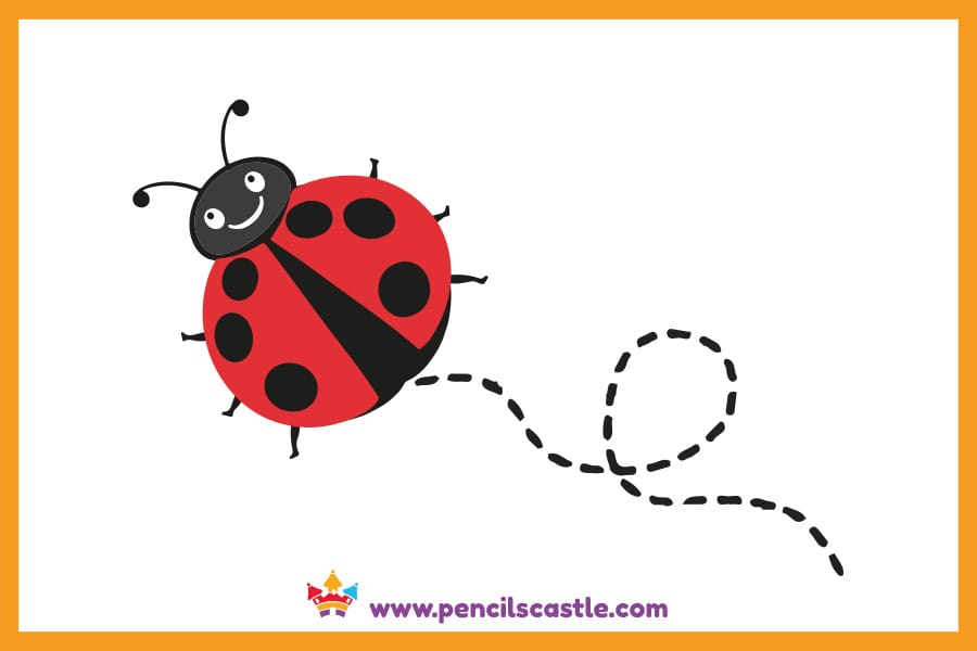 Flying Ladybug drawing with dashed line path