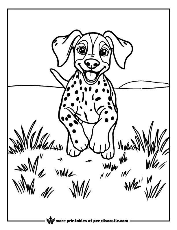 German Shorthaired Pointer puppy running in a field coloring page