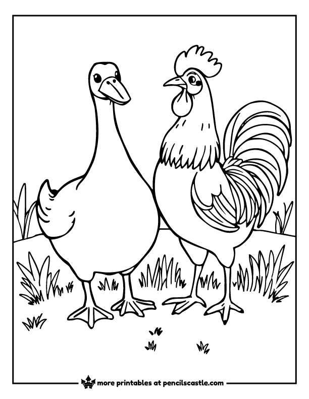 goose and a rooster standing in a grassy area coloring page