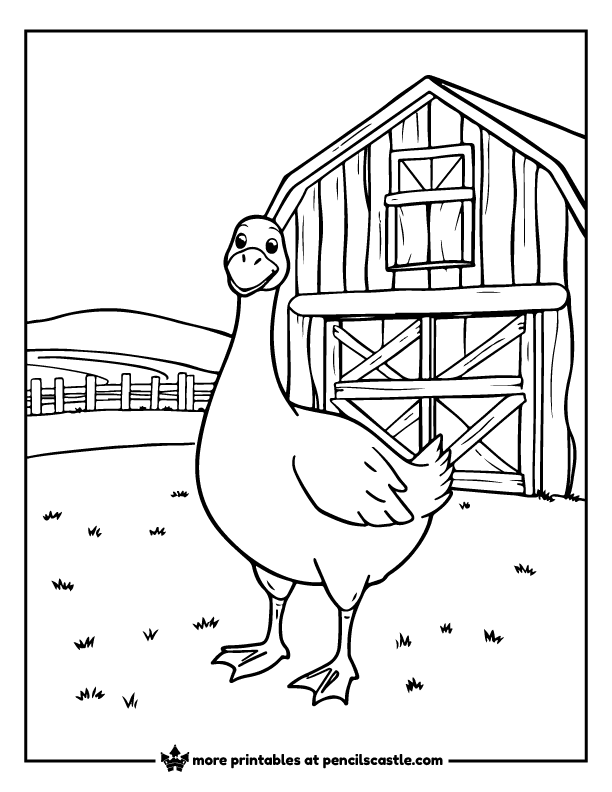 goose in a farmyard with a barn and a fence coloring page