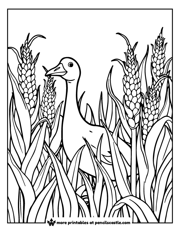 goose standing amongst tall blades of grass and wheat stalks coloring page