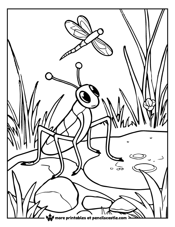grasshopper watching a dragonfly hovering above the pond coloring page