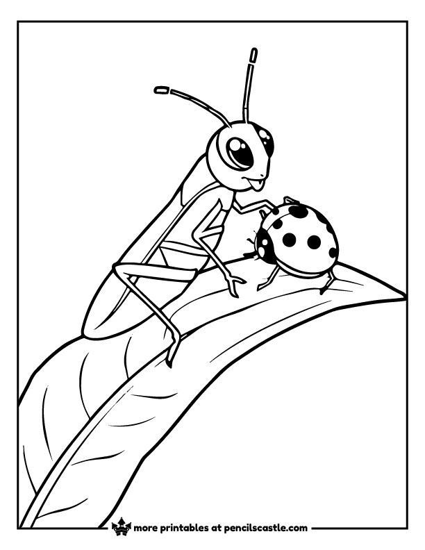 grasshopper and ladybug perched on a leaf coloring page