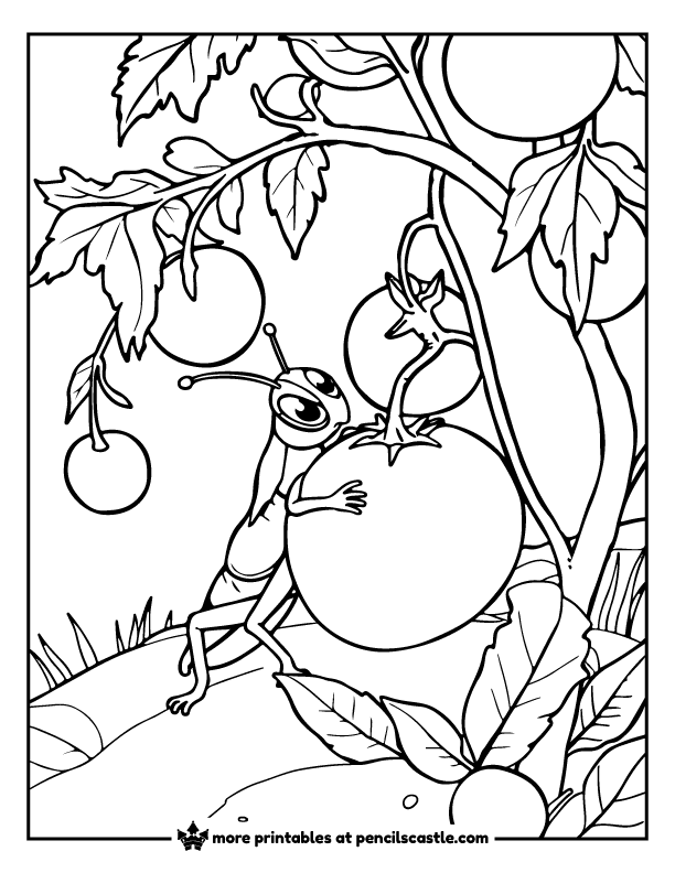 grasshopper exploring tomato plants coloring page