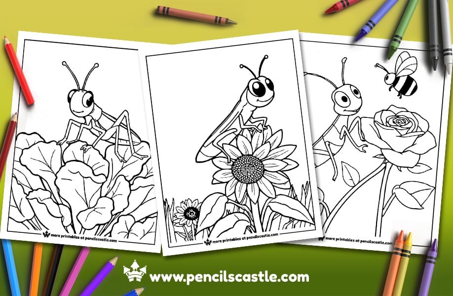 three grasshopper coloring pages with pencils and crayons on a green background