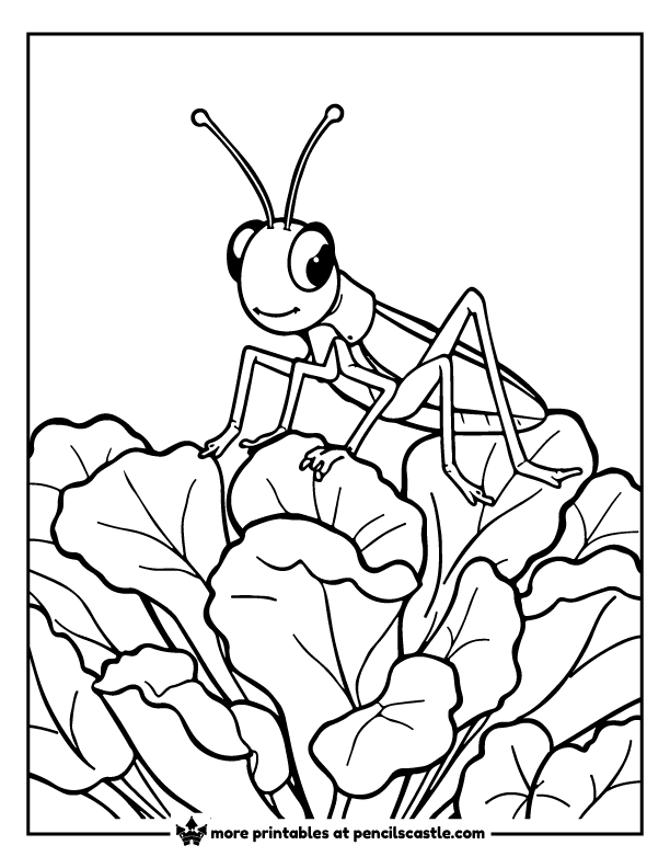 grasshopper hopping over lettuce leaves coloring sheet