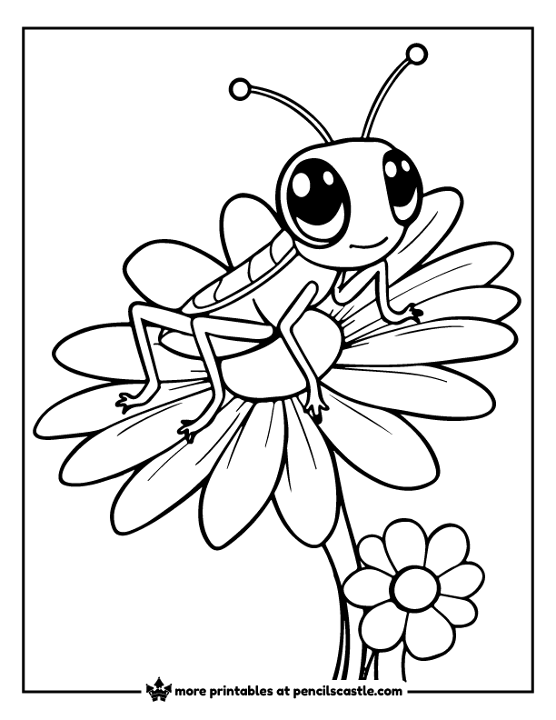 grasshopper sitting on a daisy coloring sheet
