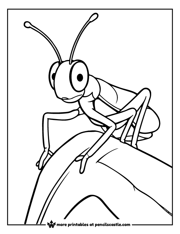 grasshopper sitting on a leaf coloring sheet