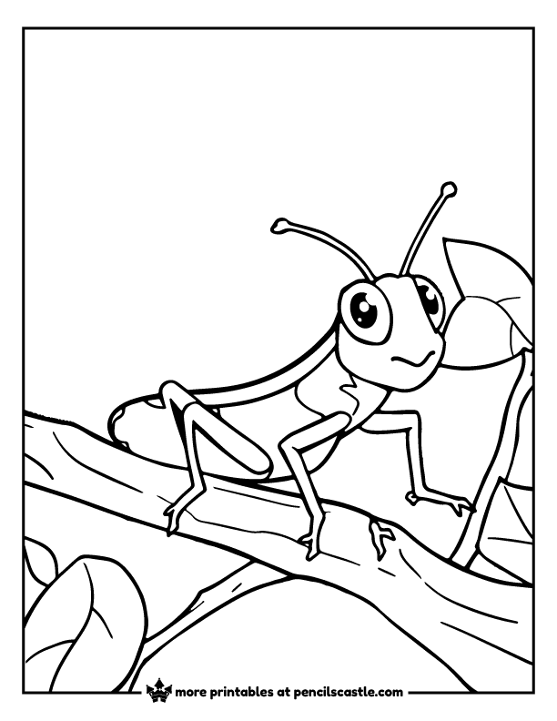 grasshopper resting on a tree branch coloring page