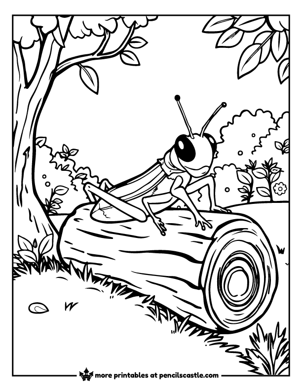 grasshopper sitting on a tree log coloring sheet