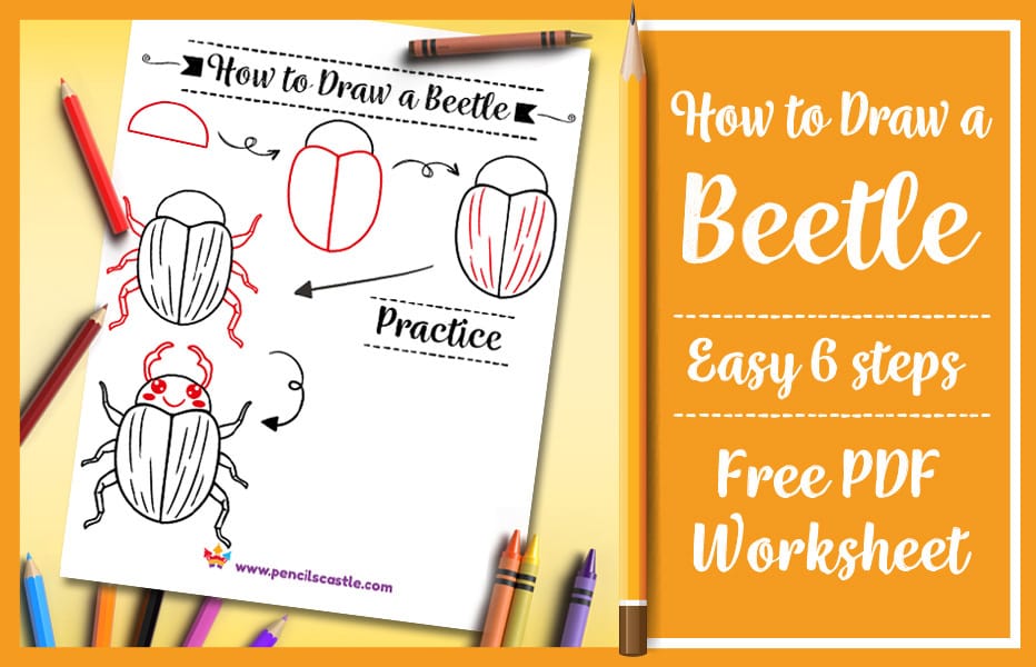 How to draw a beetle printable PDF practice worksheet