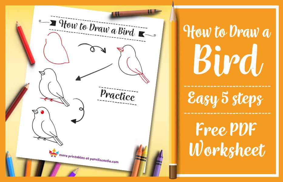 how to draw a bird pdf practice worksheet with pencils and crayons