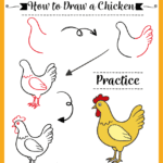 how to draw a chicken, easy step-by-step drawing