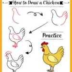 how to draw a chicken, easy step-by-step drawing