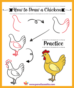 how to draw a chicken, easy step-by-step drawing