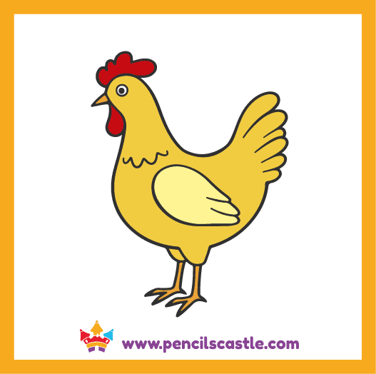 color the cute chicken drawing