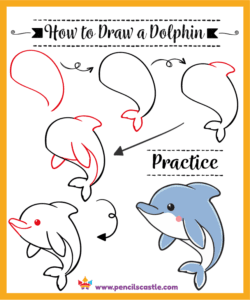 How to draw a dolphin