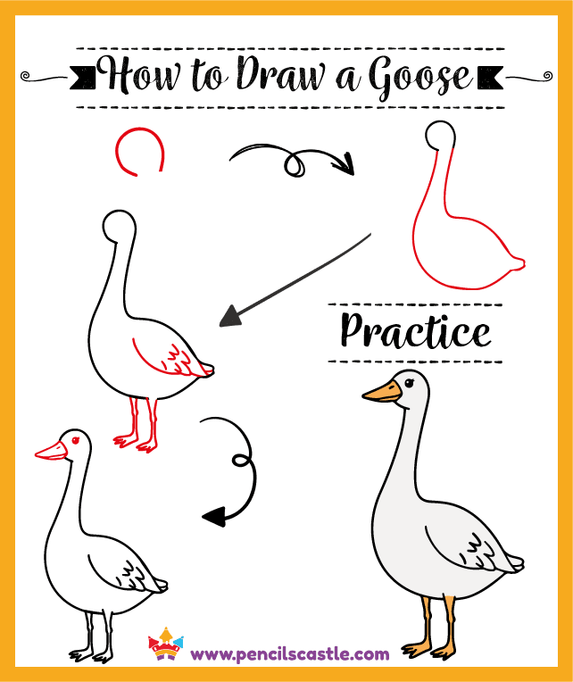 how to draw a goose, easy step-by-step drawing
