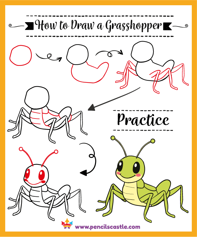 How to draw a grasshopper